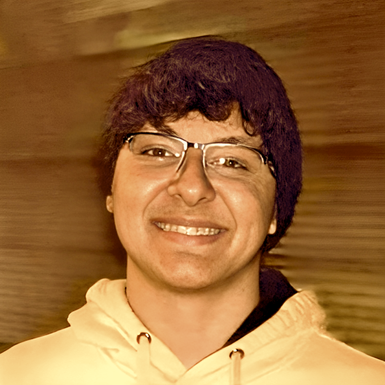Ibraheem Aboulnaga