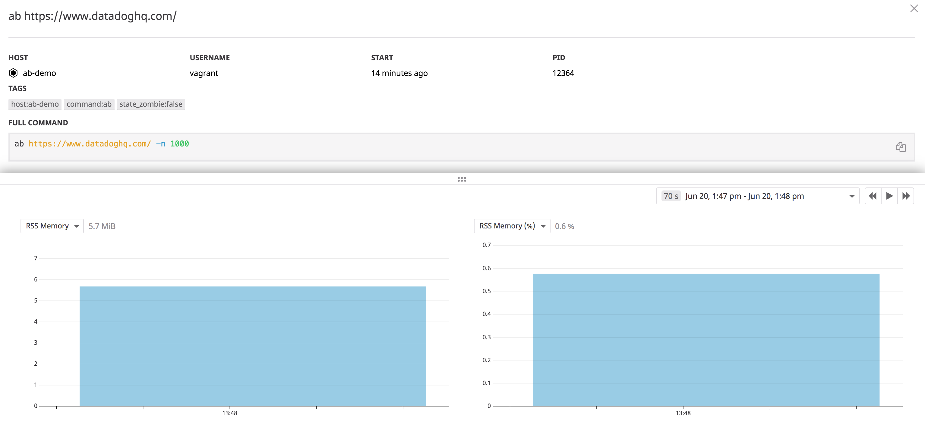 Memory utilization by one invocation of the ab command, as seen in Datadog’s Live Processes view.