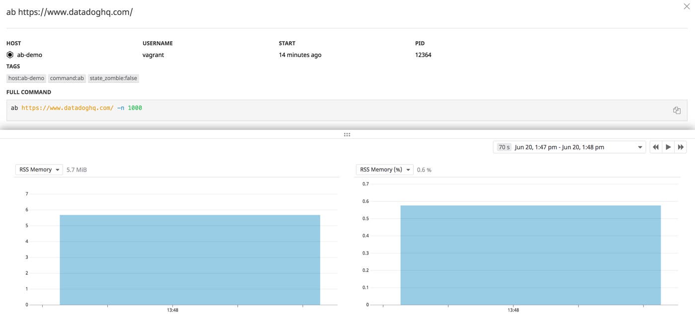 Memory utilization by one invocation of the ab command, as seen in Datadog’s Live Processes view. Memory utilization by one invocation of the ab command, as seen in Datadog’s Live Processes view.