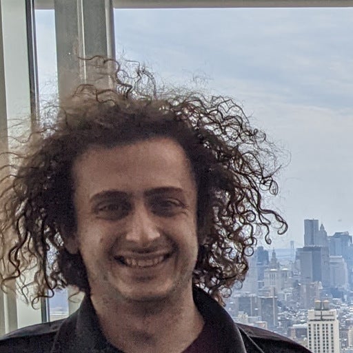 Lee Avital