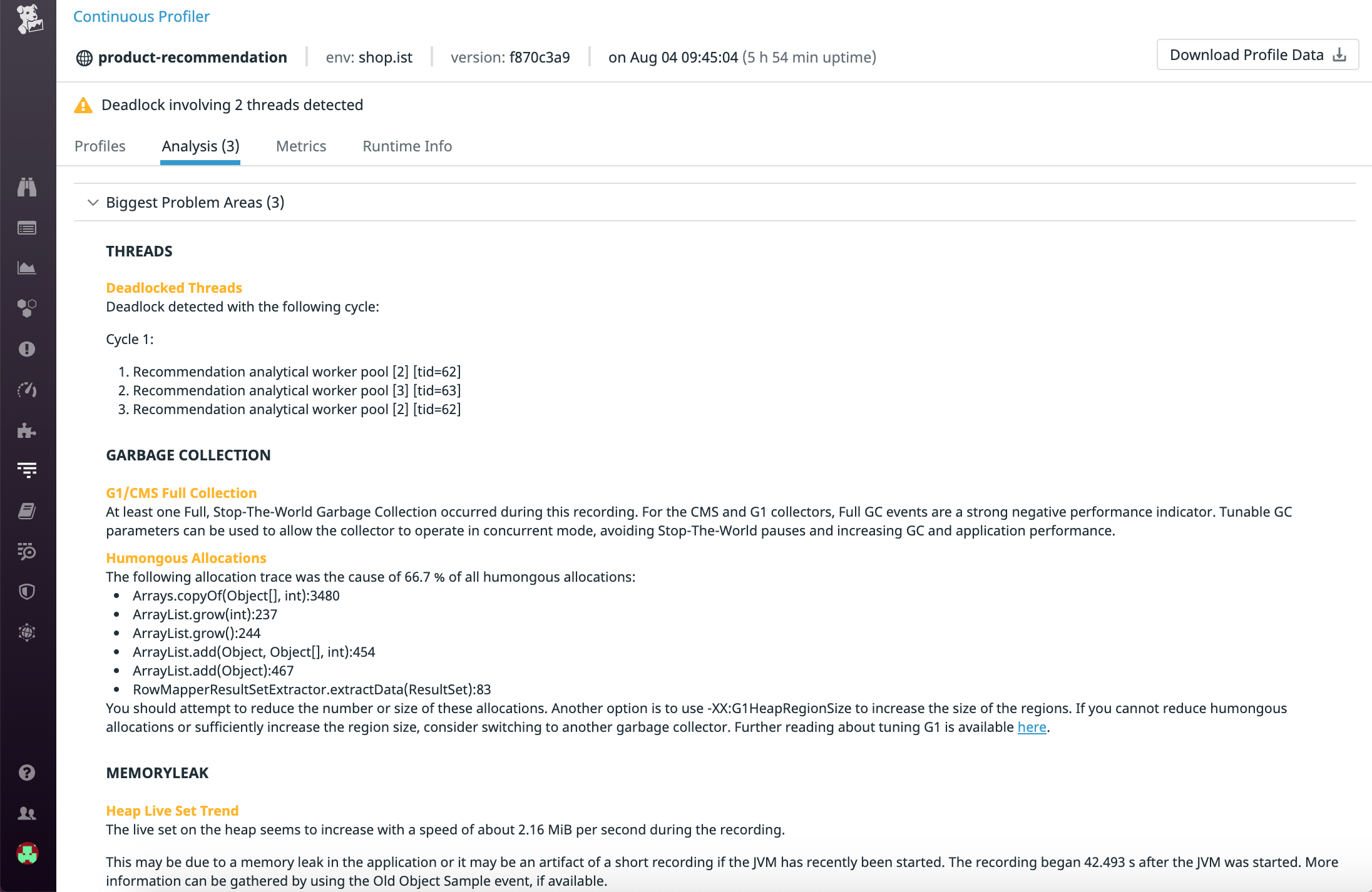 In the Analysis view, you can see a list of problem areas where you should focus your efforts on to improve application performance.