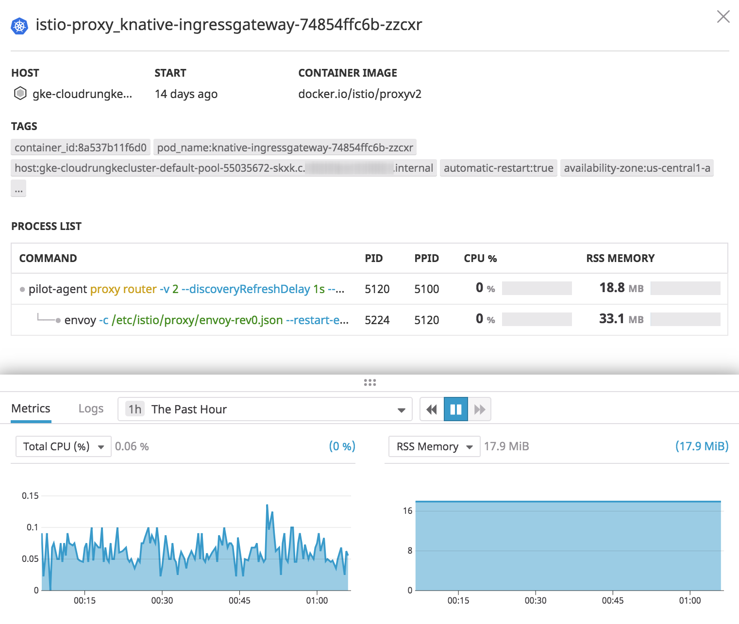 A detailed view of a Google Cloud Run container in Datadog