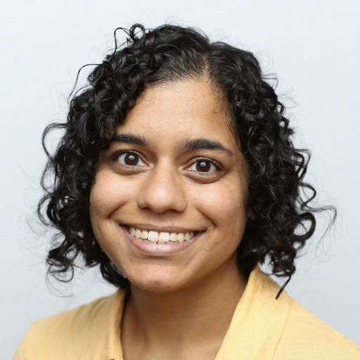 Bahar Shah