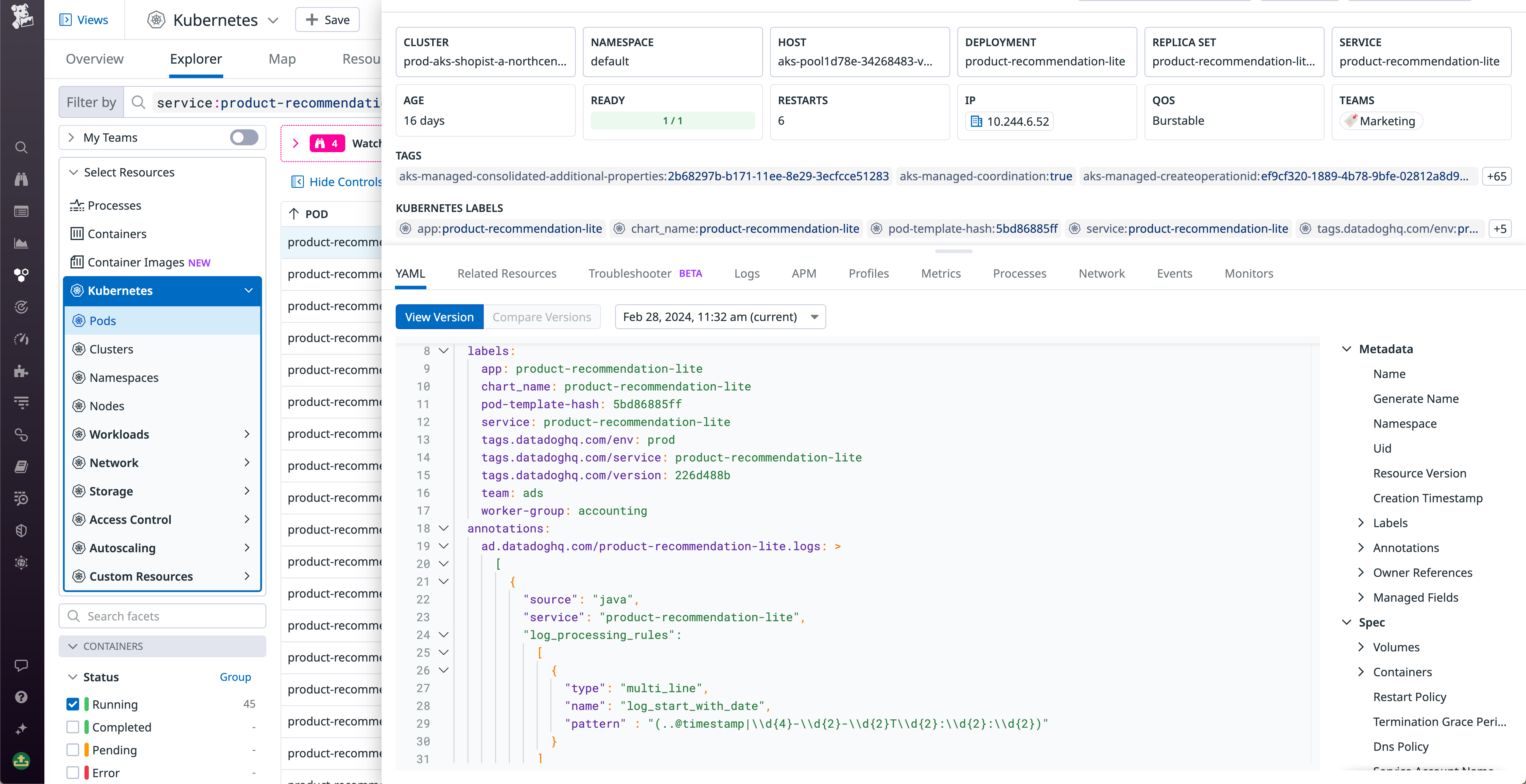 Shows a Kubernetes service populated from Datadog's Containers product and linked to live pod telemetry.