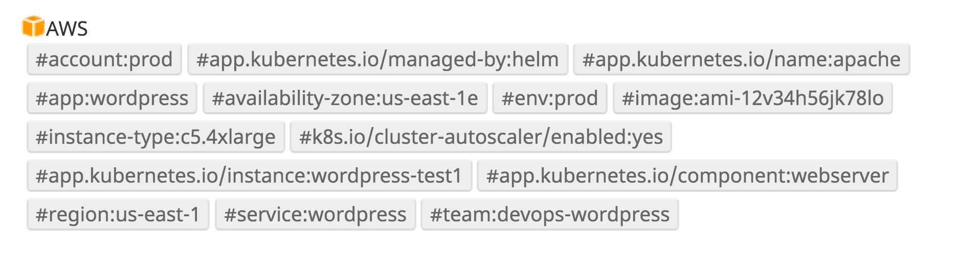 AWS tags ingested by Datadog