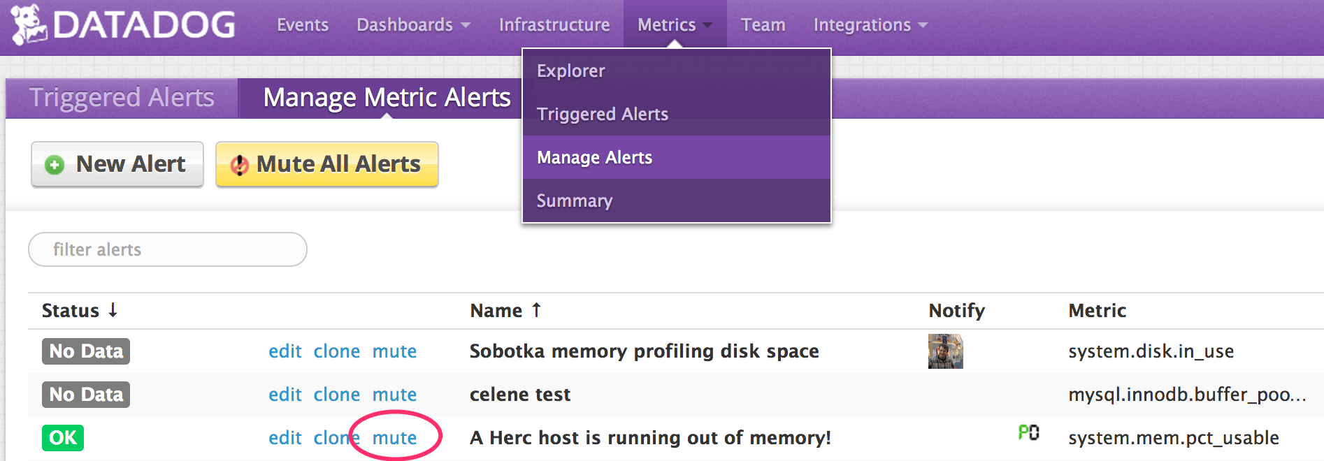 alert notifications