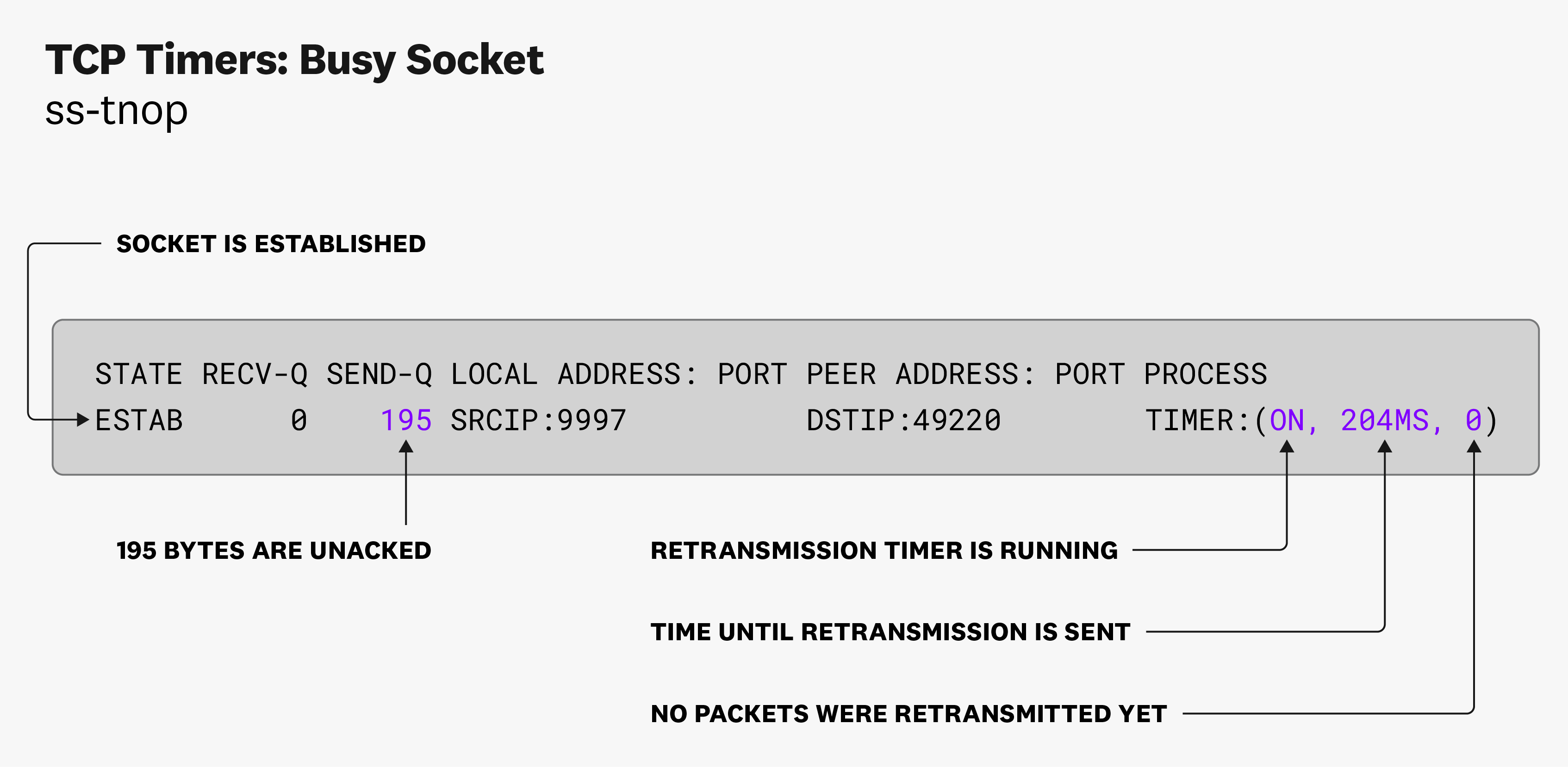 The ss command will provide useful information on the socket