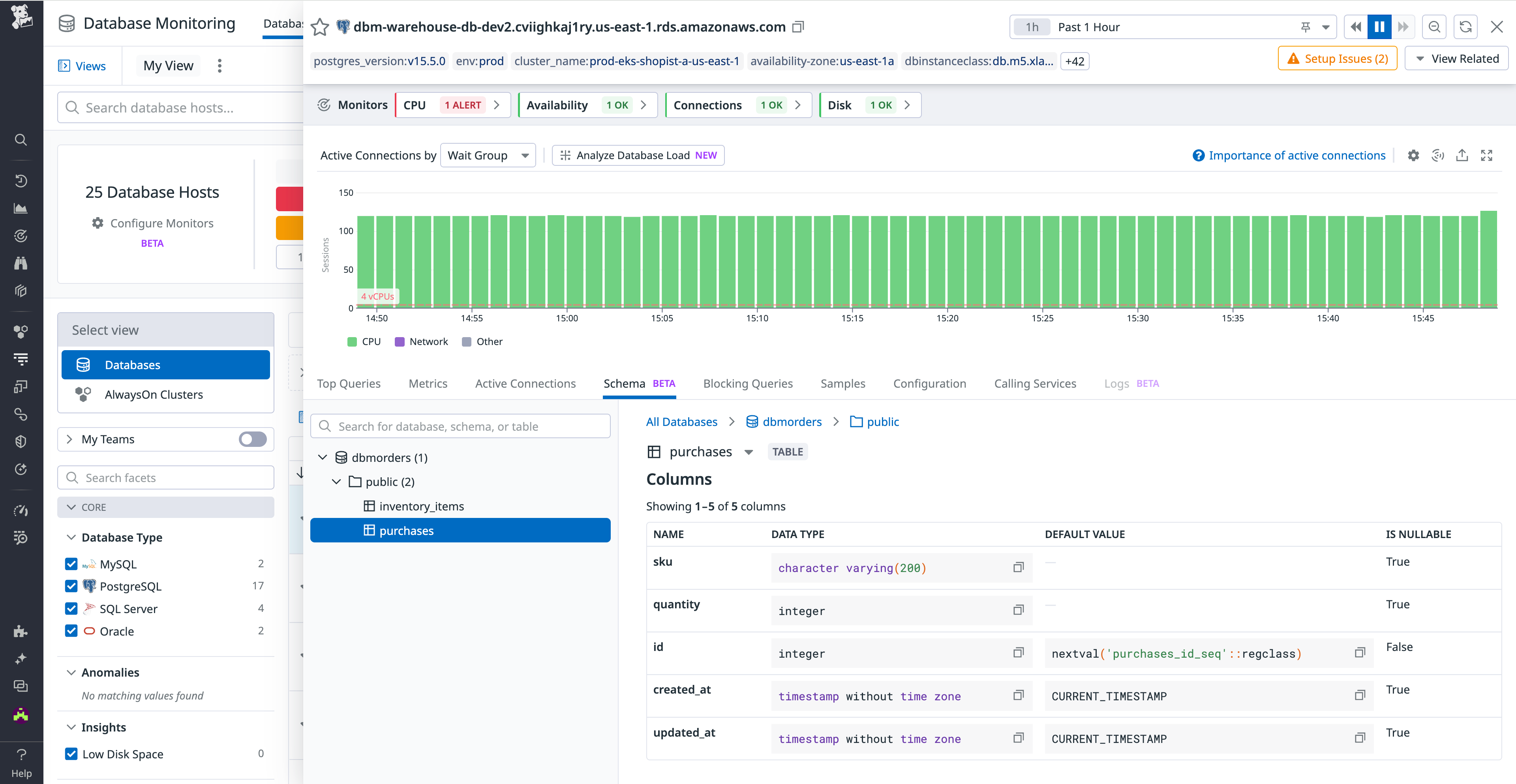 Dive into the schema on an specific database instance.