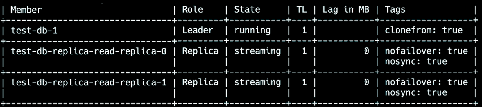 patronictl list output showing only the leader node and read replicas marked nofailover and nosync, indicating no eligible standby nodes.