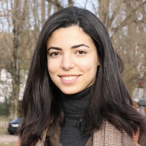 Manar Toumi