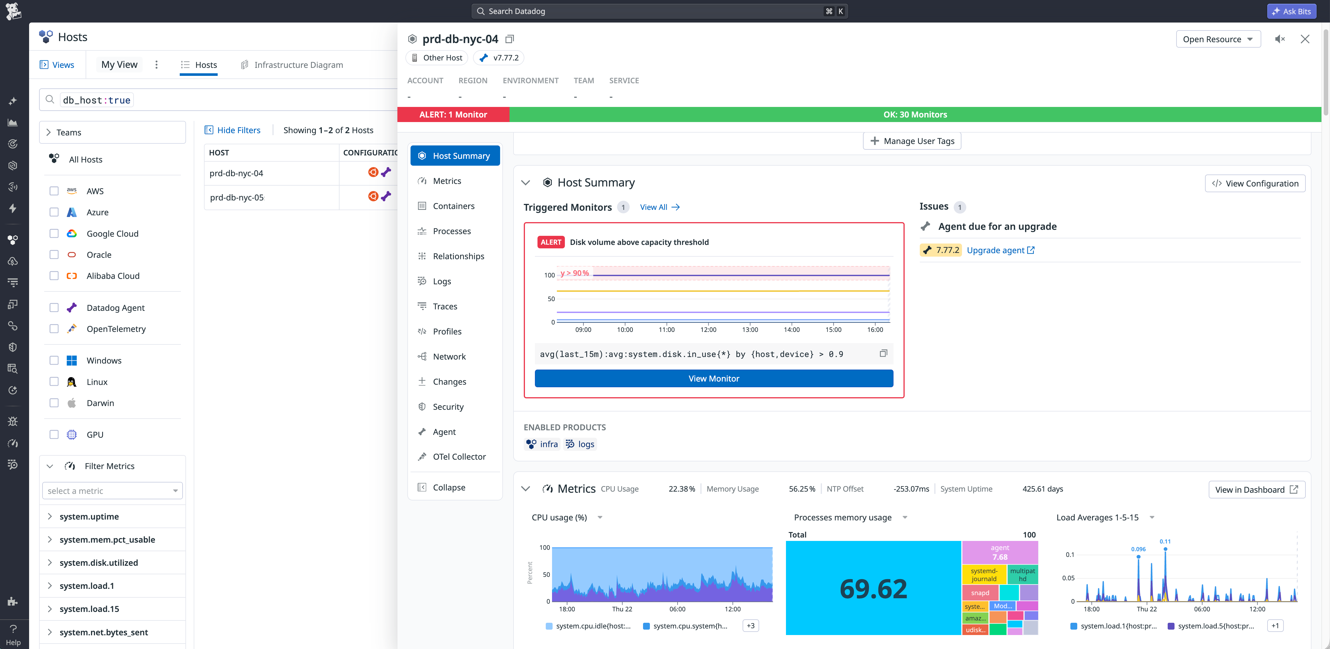 Datadog infrastructure dashboard displaying a host summary along with CPU, process memory usage, and load averages for a Basic host.